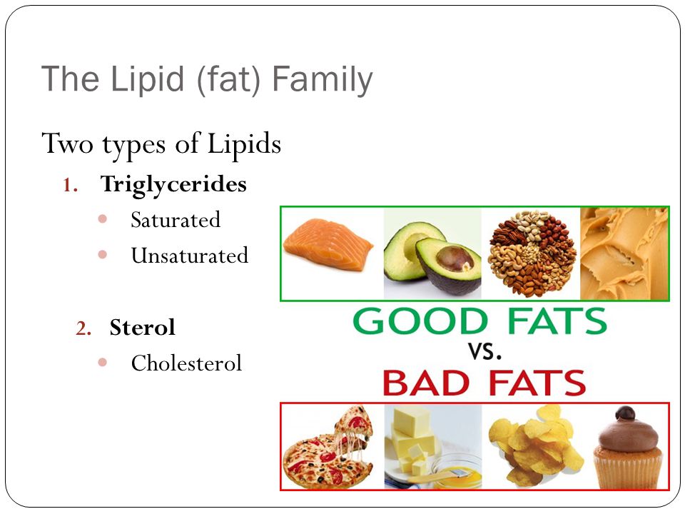 The Lipid (fat) Family Two types of Lipids 1. Triglycerides Saturated Unsaturated 2.