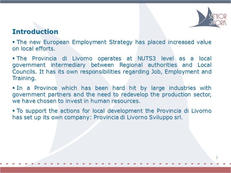 Introduction  The new European Employment Strategy has placed increased value on local efforts.
