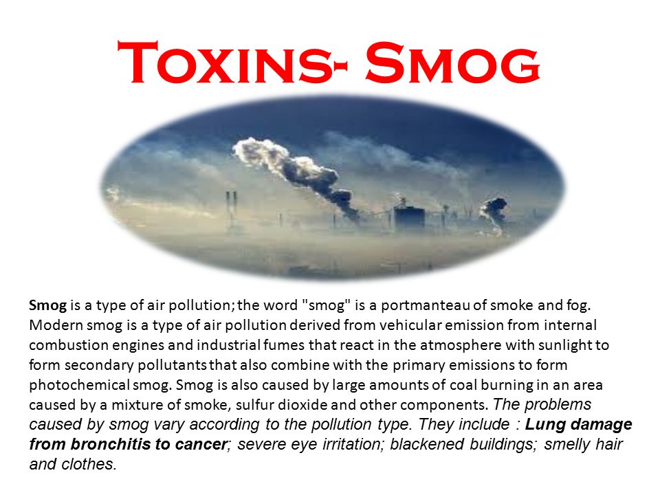 the issue of air pollution in ontario and the types of common pollutants The world's top 10 worst pollution growing and are much more susceptible to environmental pollutants including untreated sewage and urban air pollution. the issue of air pollution in ontario and the types of common pollutants The world's top 10 worst pollution growing and are much more susceptible to environmental pollutants including untreated sewage and urban air pollution.