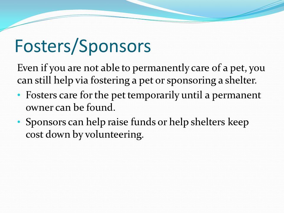 Fosters/Sponsors Even if you are not able to permanently care of a pet, you can still help via fostering a pet or sponsoring a shelter.
