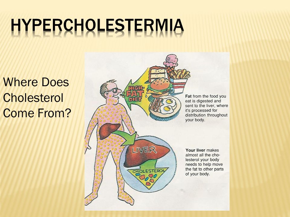 Where Does Cholesterol Come From