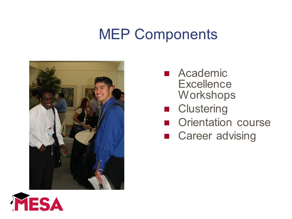MEP Components Academic Excellence Workshops Clustering Orientation course Career advising