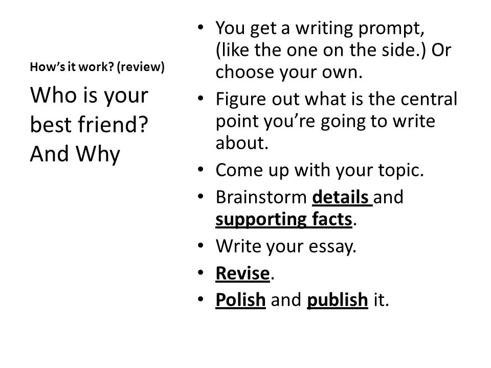 Expository essay writing prompt