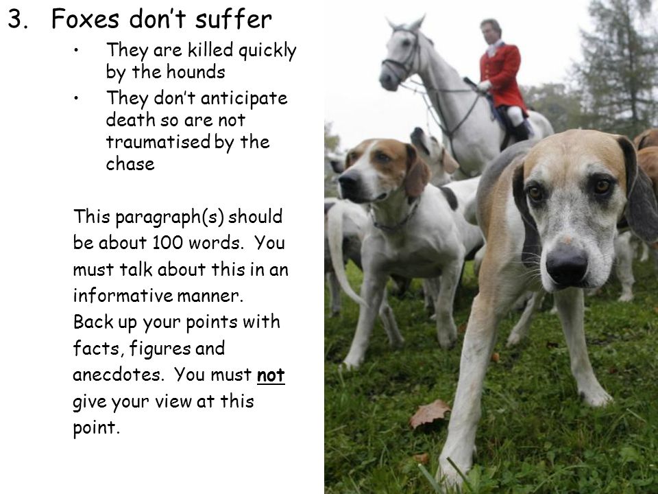 animal testing is immoral and should be stopped Free animal testing papers animal research should - animal experimentation is a process involving the immoral and unethical treatment of animals in order. animal testing is immoral and should be stopped Free animal testing papers animal research should - animal experimentation is a process involving the immoral and unethical treatment of animals in order.