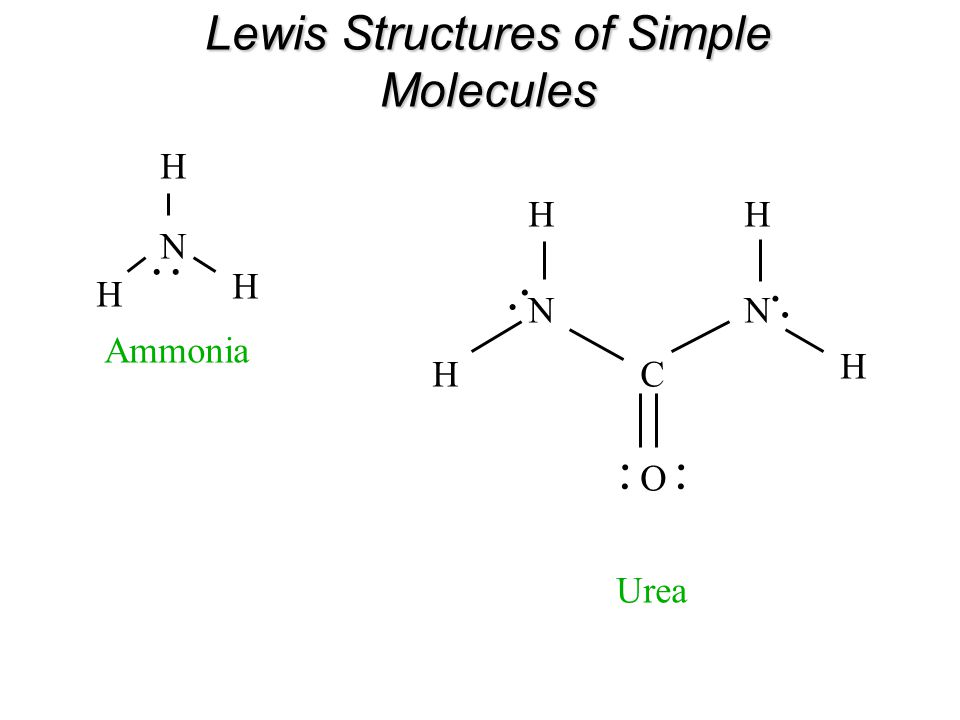Lewis Structures of Simple Molecules N H H H. Ammonia C NN O HH H H. Urea