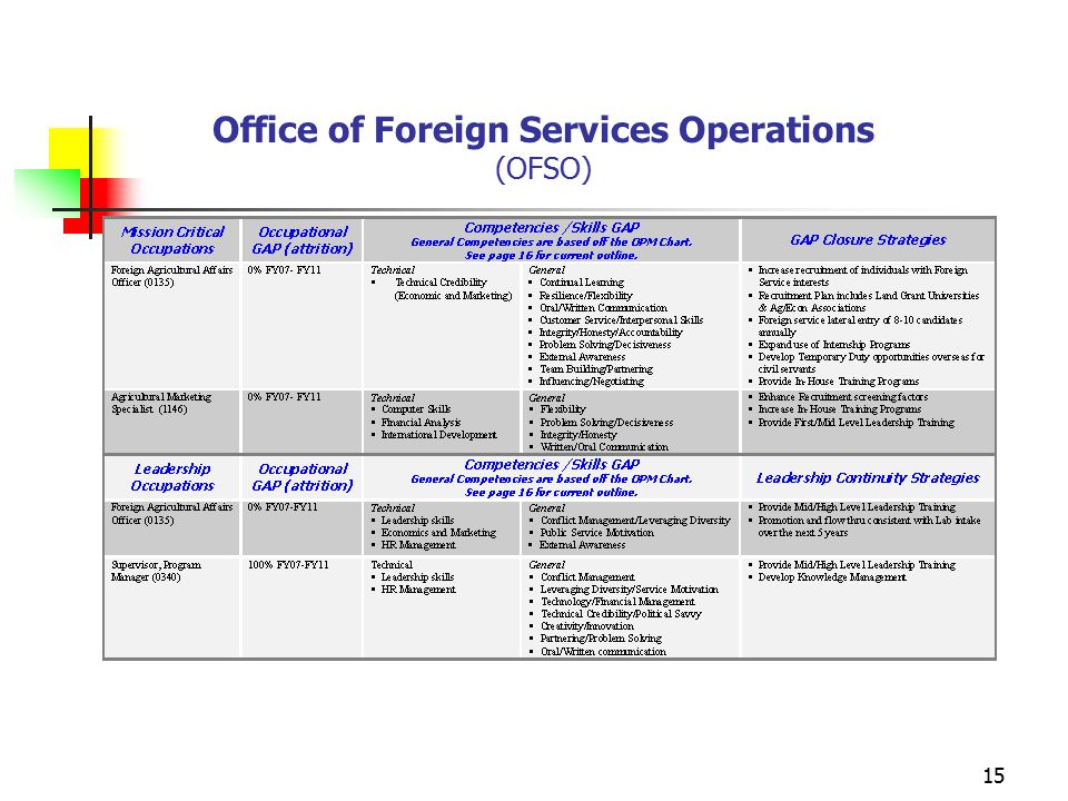 15 Office of Foreign Services Operations (OFSO)
