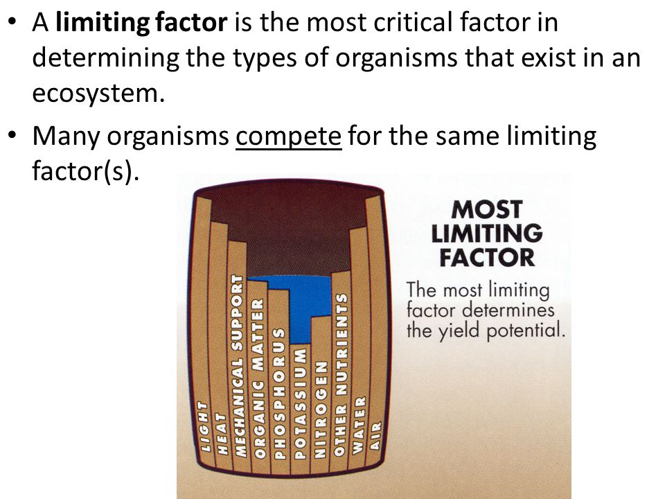 A limiting factor is the most critical factor in determining the types of organisms that exist in an ecosystem.
