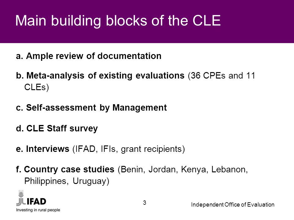 Independent Office of Evaluation 3 Main building blocks of the CLE a.