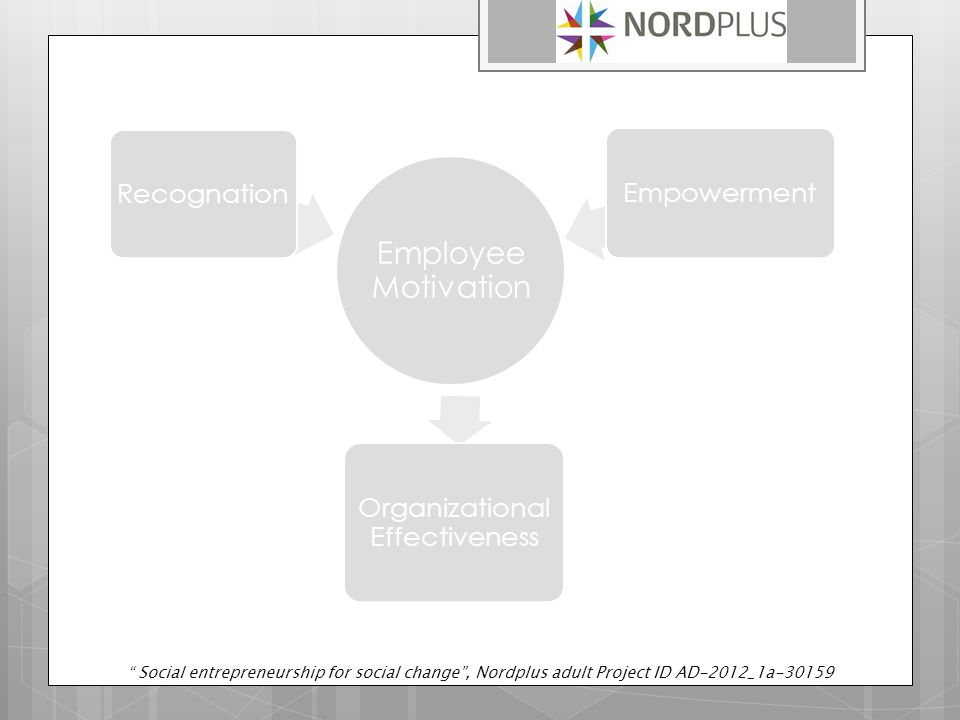 Employee Motivation Recognation Organizational Effectiveness Empowerment Social entrepreneurship for social change , Nordplus adult Project ID AD-2012_1a-30159