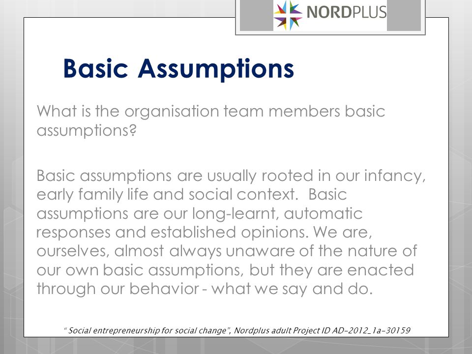 Basic Assumptions What is the organisation team members basic assumptions.