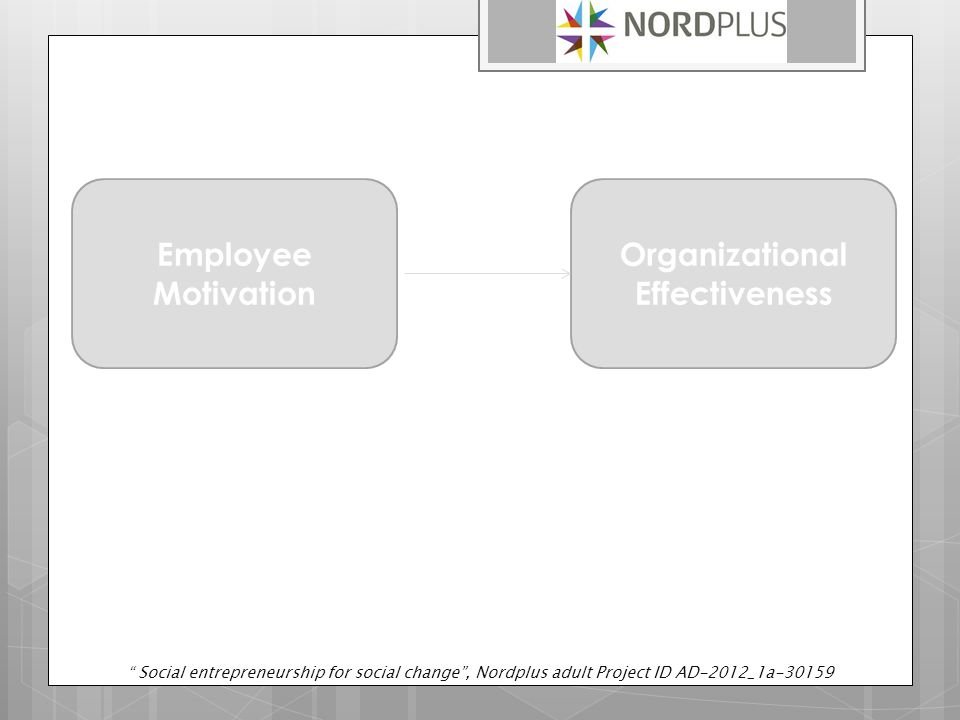 Employee Motivation Organizational Effectiveness Social entrepreneurship for social change , Nordplus adult Project ID AD-2012_1a-30159