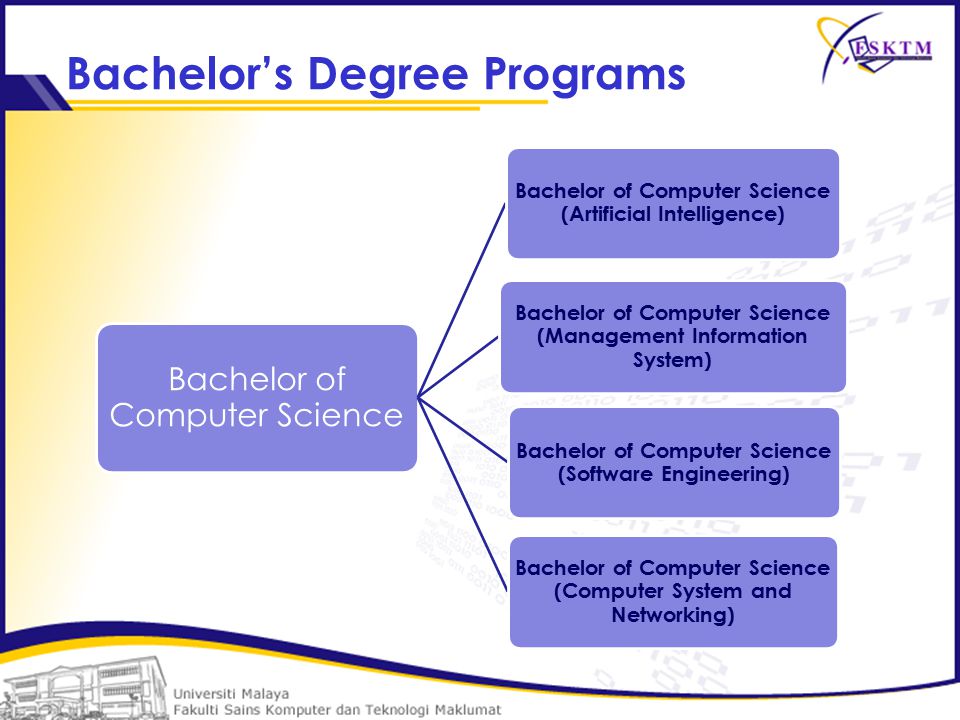 computer and information systems managers degree