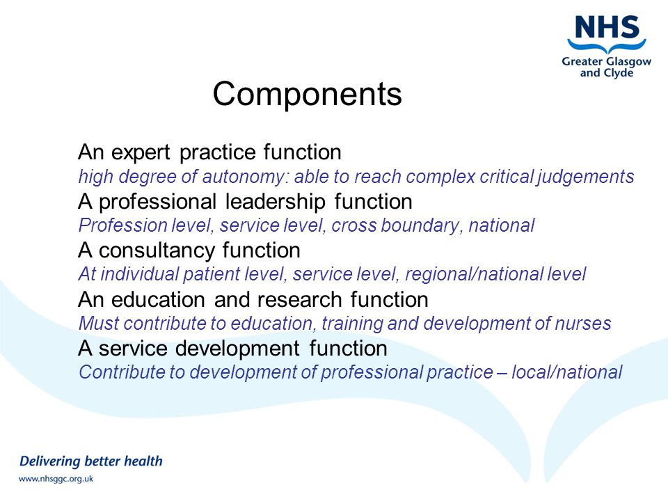 Components An expert practice function high degree of autonomy: able to reach complex critical judgements A professional leadership function Profession level, service level, cross boundary, national A consultancy function At individual patient level, service level, regional/national level An education and research function Must contribute to education, training and development of nurses A service development function Contribute to development of professional practice – local/national