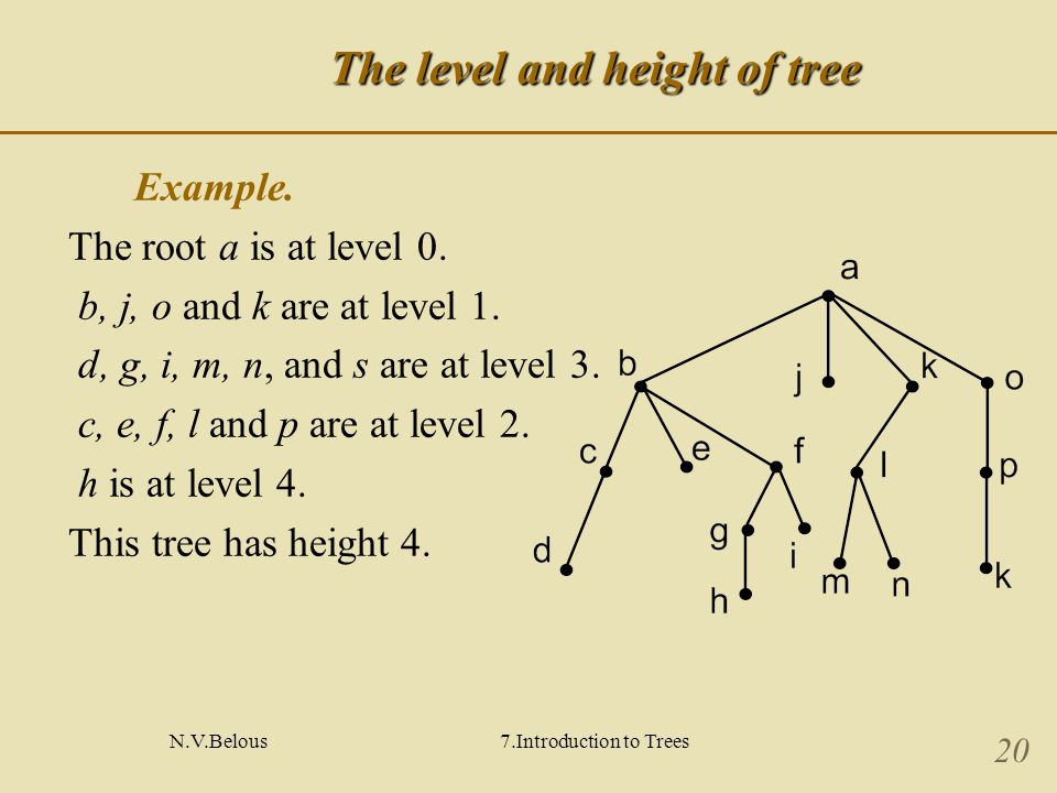 N.V.Belous7.Introduction to Trees 20 The level and height of tree Example.