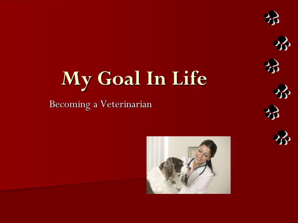 My Goal In Life Becoming a Veterinarian