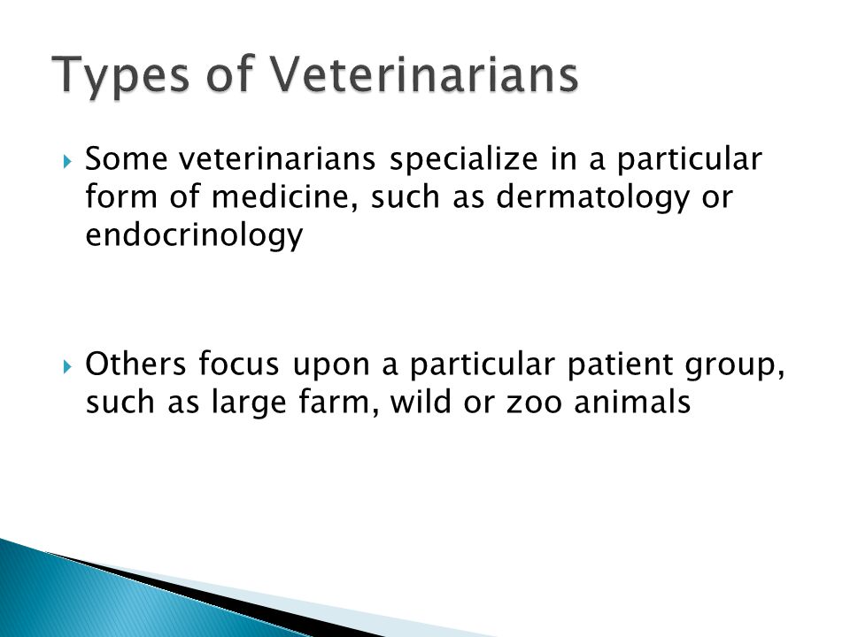  Some veterinarians specialize in a particular form of medicine, such as dermatology or endocrinology  Others focus upon a particular patient group, such as large farm, wild or zoo animals