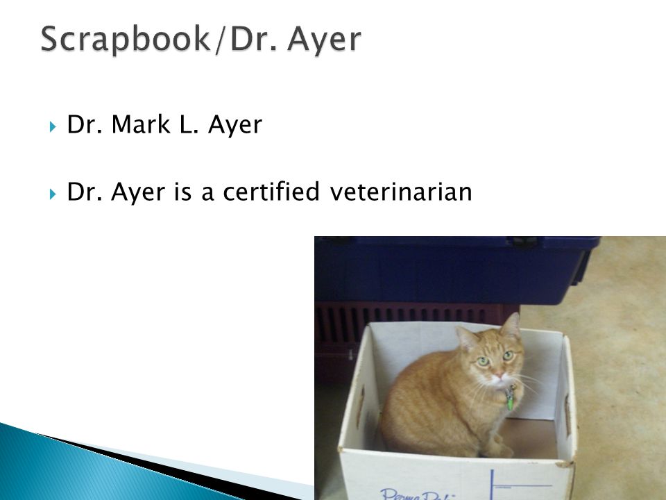  Dr. Mark L. Ayer  Dr. Ayer is a certified veterinarian