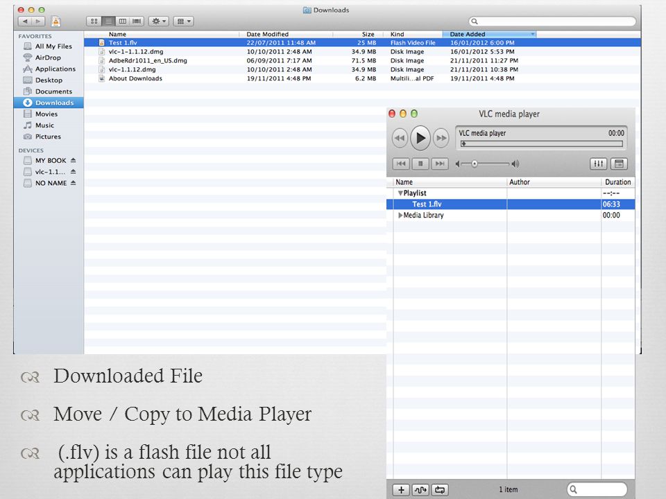  Downloaded File  Move / Copy to Media Player  (.flv) is a flash file not all applications can play this file type