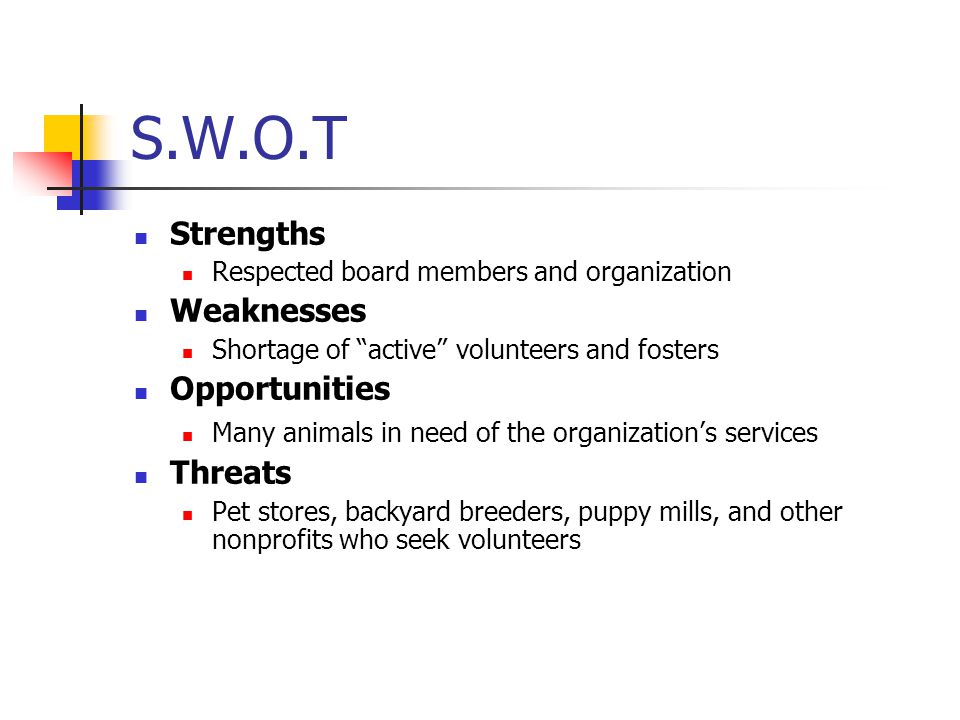 S.W.O.T Strengths Respected board members and organization Weaknesses Shortage of active volunteers and fosters Opportunities Many animals in need of the organization’s services Threats Pet stores, backyard breeders, puppy mills, and other nonprofits who seek volunteers