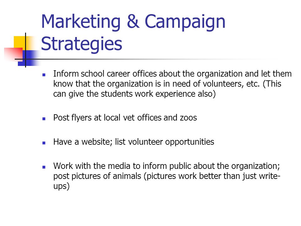 Marketing & Campaign Strategies Inform school career offices about the organization and let them know that the organization is in need of volunteers, etc.