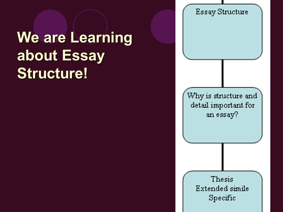 We are Learning about Essay Structure!