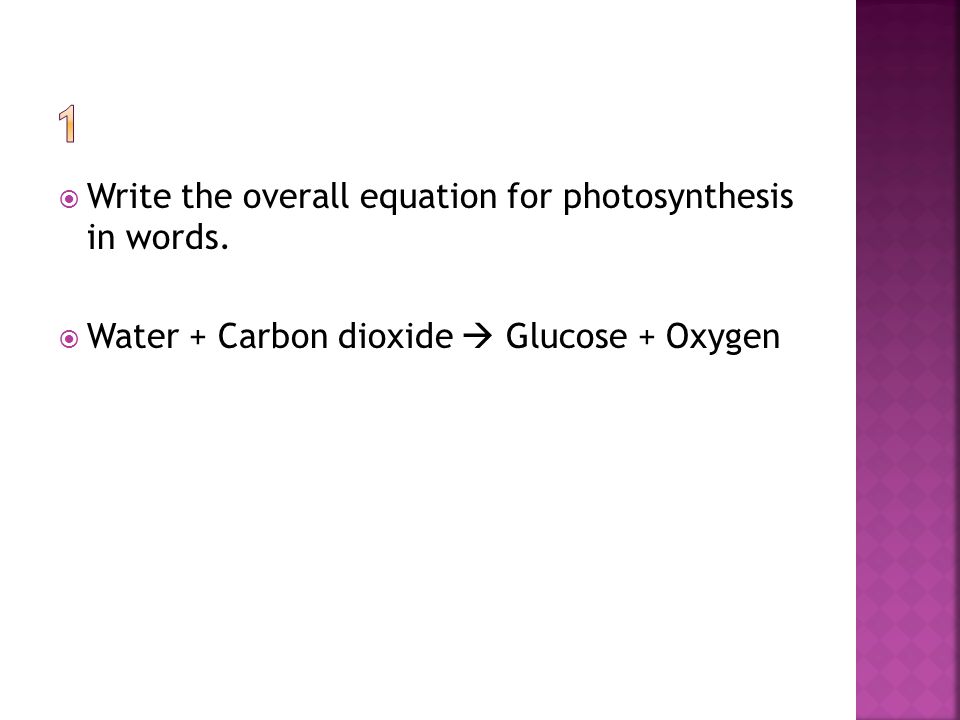 Click F5 Use The Arrows To Proceed Write Overall Equation Write The Overall Equation For Photosynthesis In Words