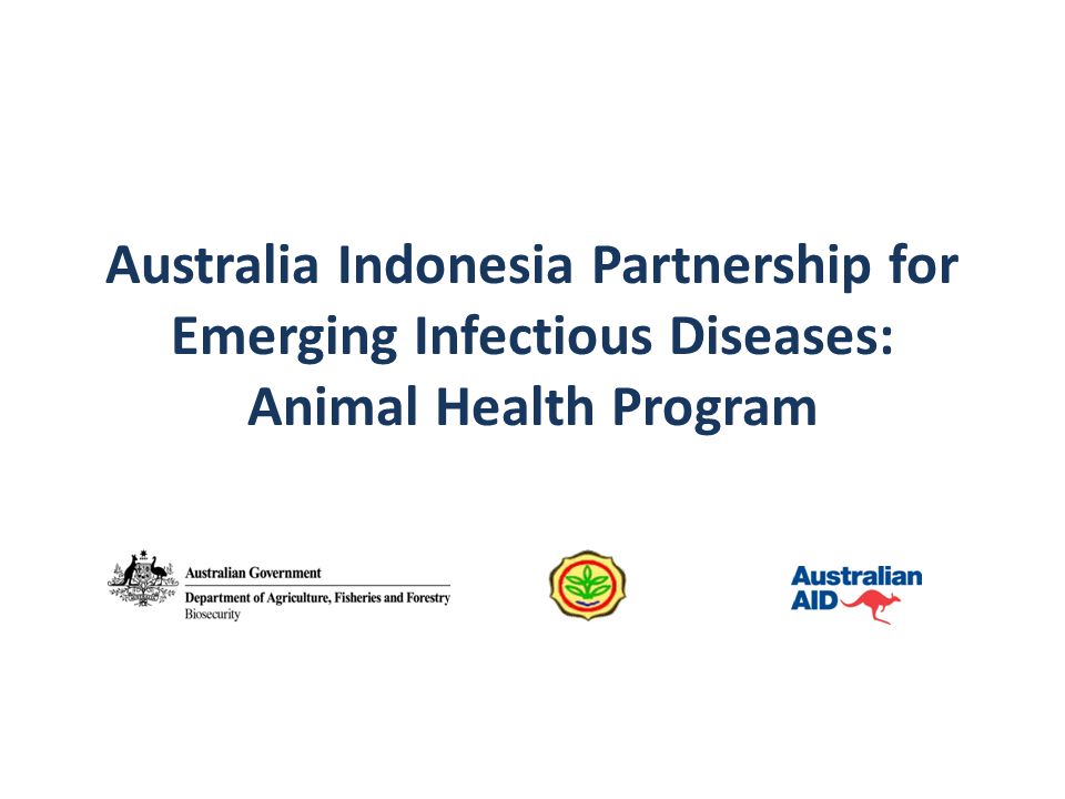 Australia Indonesia Partnership for Emerging Infectious Diseases: Animal Health Program