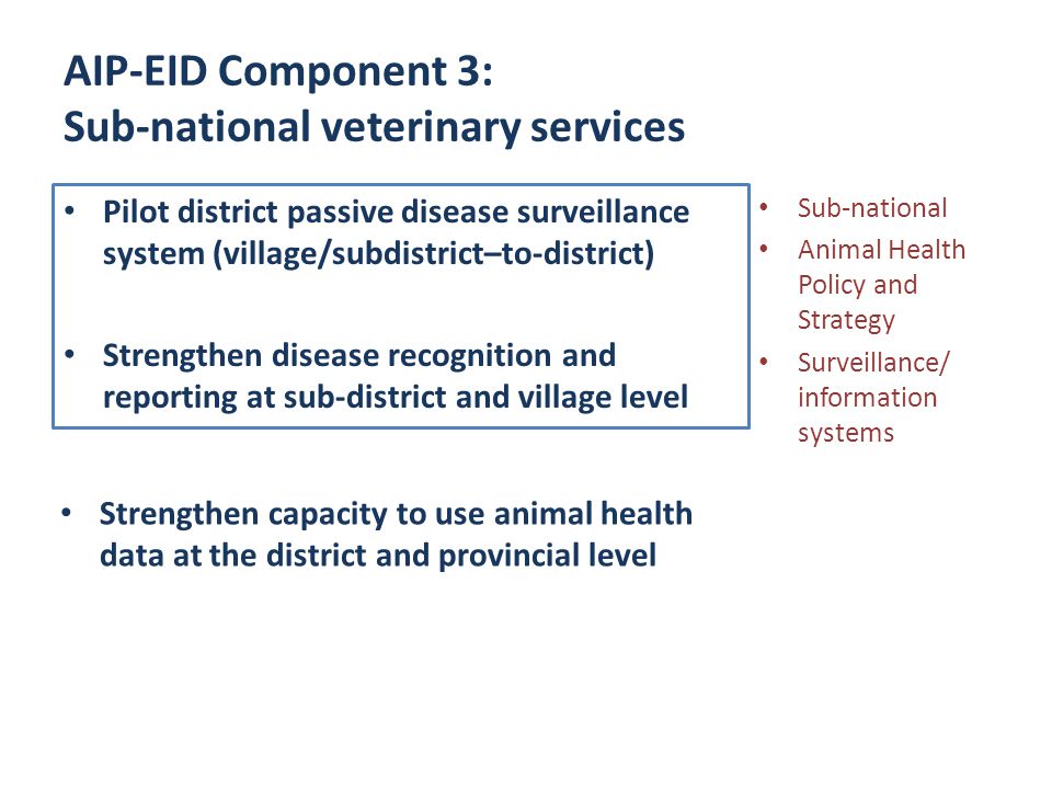 AIP-EID Component 3: Sub-national veterinary services Pilot district passive disease surveillance system (village/subdistrict–to-district) Strengthen disease recognition and reporting at sub-district and village level Sub-national Animal Health Policy and Strategy Surveillance/ information systems Strengthen capacity to use animal health data at the district and provincial level