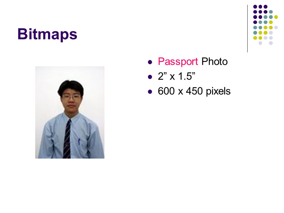 Bitmaps Passport Photo 2 x x 450 pixels