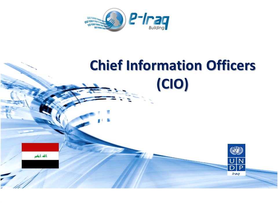 1 MODULE 2 Strategic and Operational Management in Public Sector Chief Information Officers (CIO)