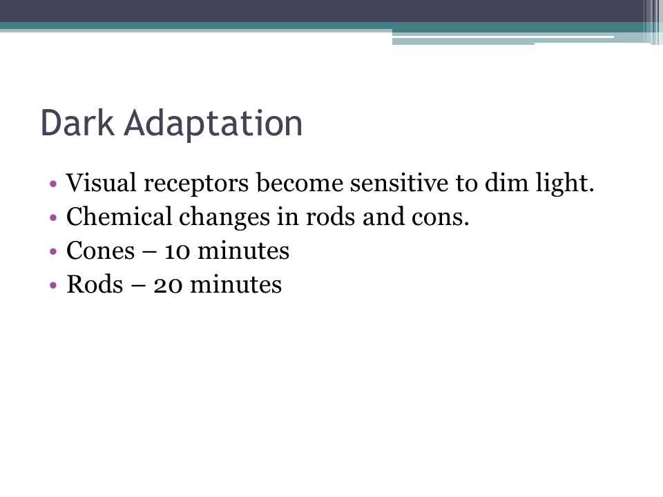 Dark Adaptation Visual receptors become sensitive to dim light.