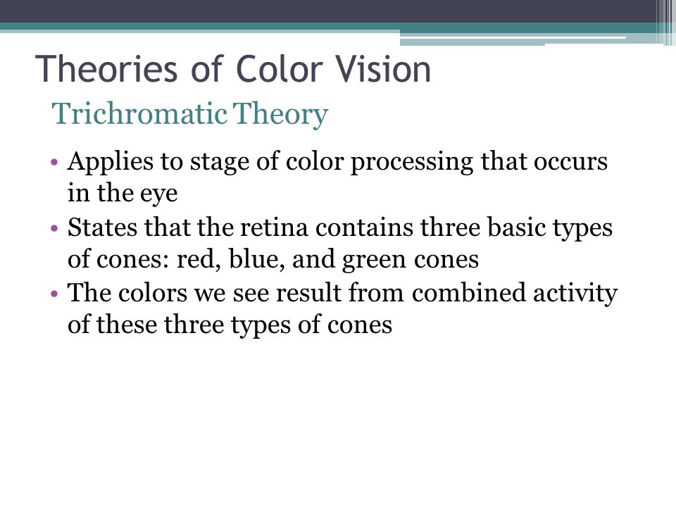 Theories of Color Vision Applies to stage of color processing that occurs in the eye States that the retina contains three basic types of cones: red, blue, and green cones The colors we see result from combined activity of these three types of cones Trichromatic Theory