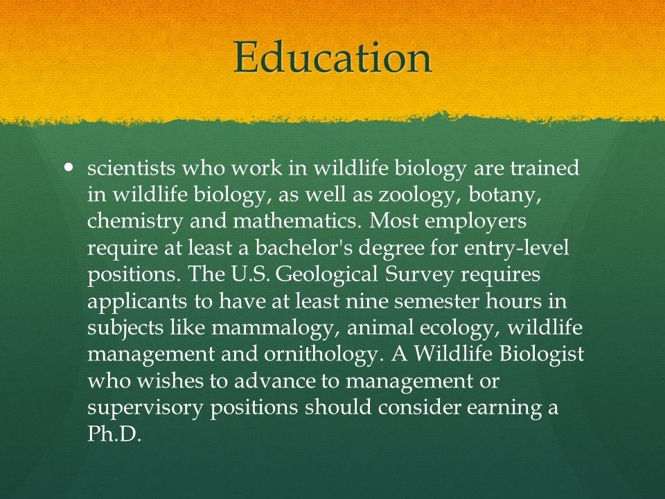 Education scientists who work in wildlife biology are trained in wildlife biology, as well as zoology, botany, chemistry and mathematics.