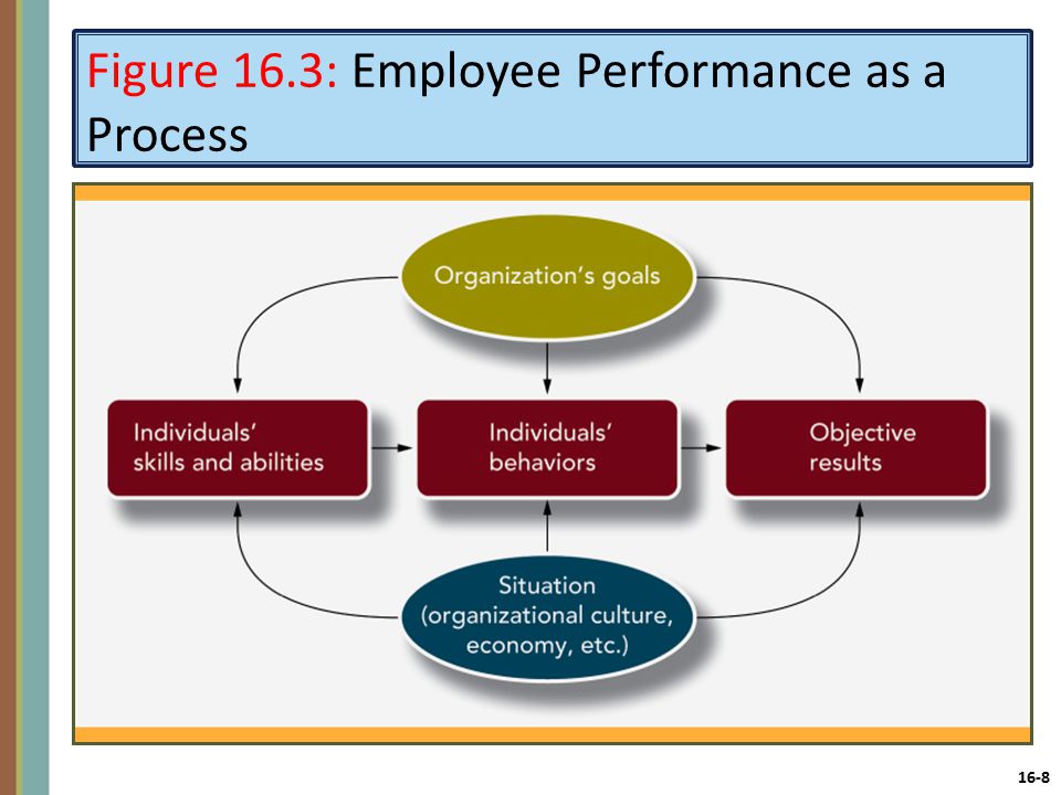 16-8 Figure 16.3: Employee Performance as a Process
