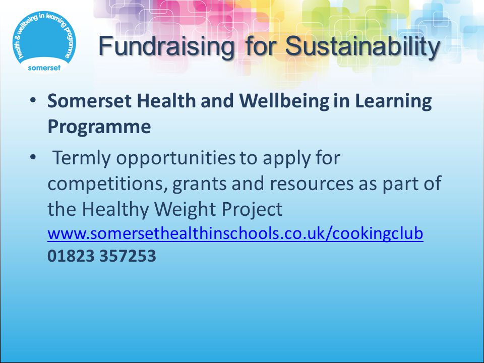 Fundraising for Sustainability Somerset Health and Wellbeing in Learning Programme Termly opportunities to apply for competitions, grants and resources as part of the Healthy Weight Project