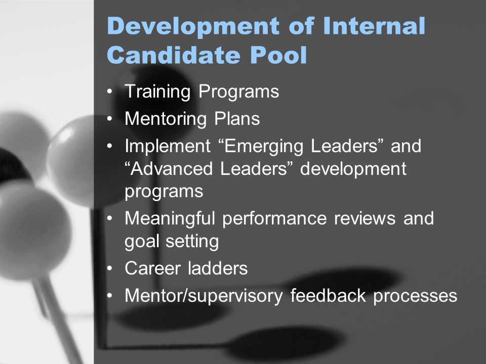 Development of Internal Candidate Pool Training Programs Mentoring Plans Implement Emerging Leaders and Advanced Leaders development programs Meaningful performance reviews and goal setting Career ladders Mentor/supervisory feedback processes