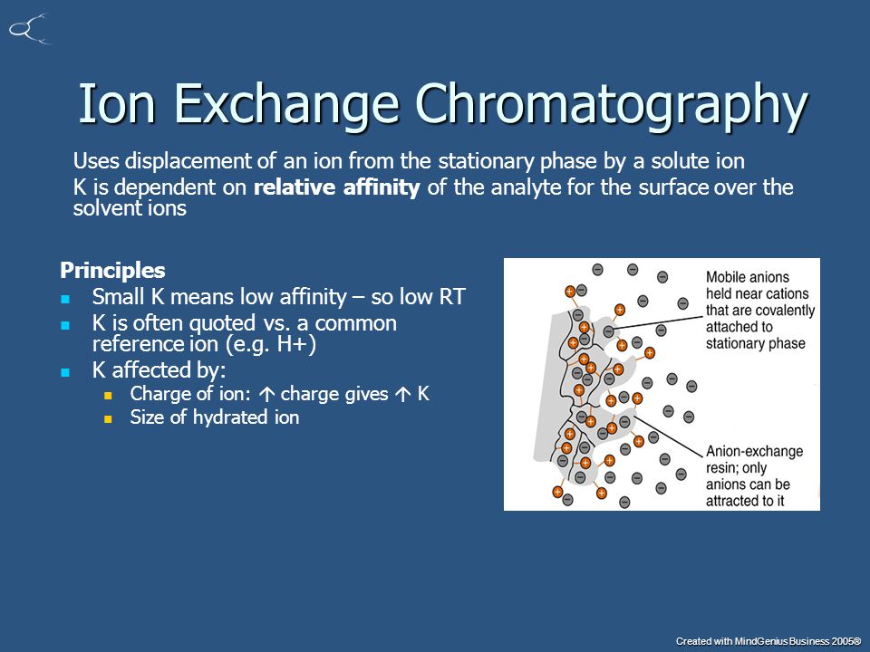 ion exchange chromatography