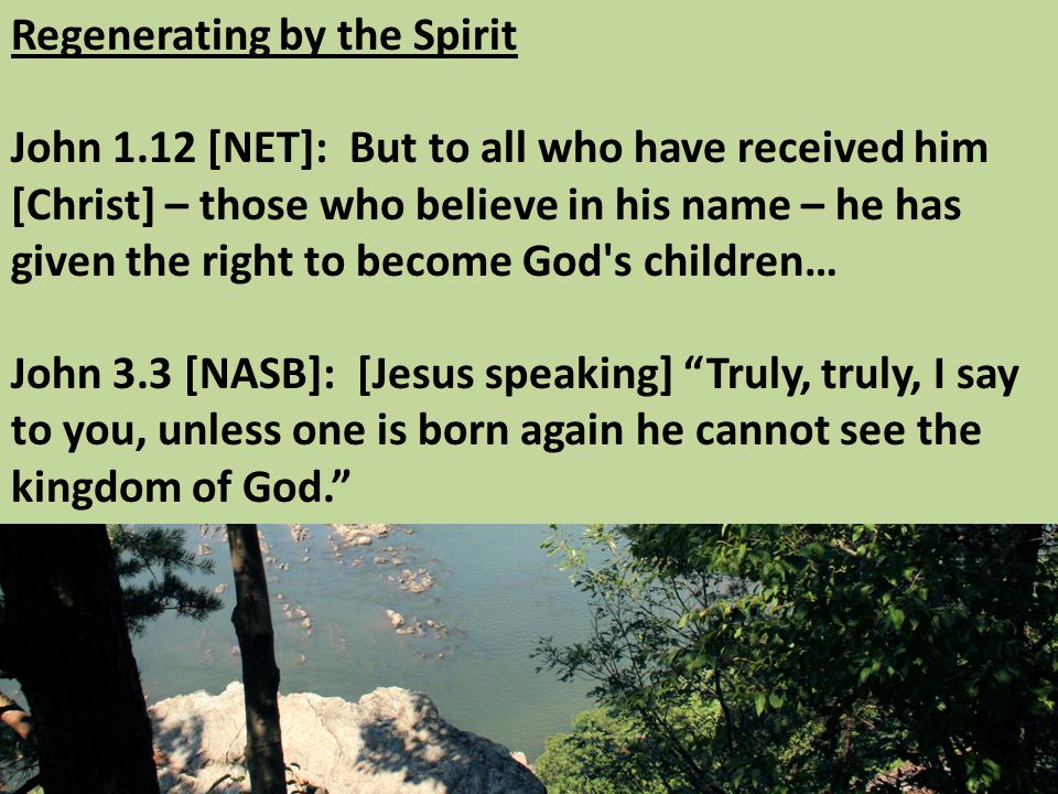 Regenerating by the Spirit John 1.12 [NET]: But to all who have received him [Christ] – those who believe in his name – he has given the right to become God s children… John 3.3 [NASB]: [Jesus speaking] Truly, truly, I say to you, unless one is born again he cannot see the kingdom of God.