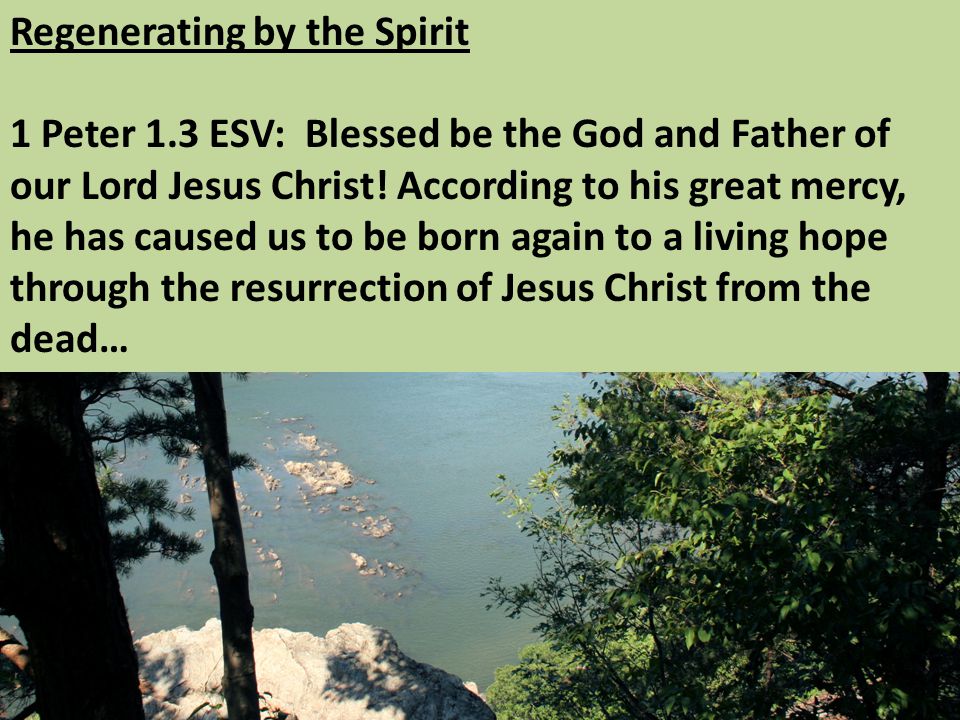 Regenerating by the Spirit 1 Peter 1.3 ESV: Blessed be the God and Father of our Lord Jesus Christ.