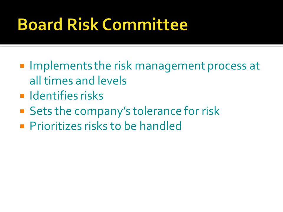  Implements the risk management process at all times and levels  Identifies risks  Sets the company’s tolerance for risk  Prioritizes risks to be handled