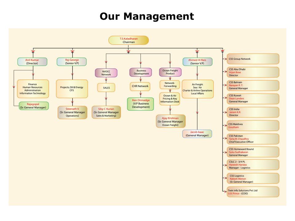 Our Management