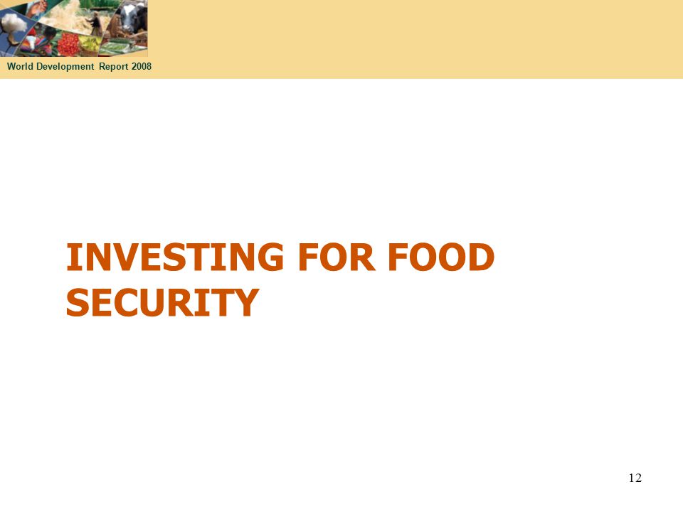 World Development Report 2008 INVESTING FOR FOOD SECURITY 12