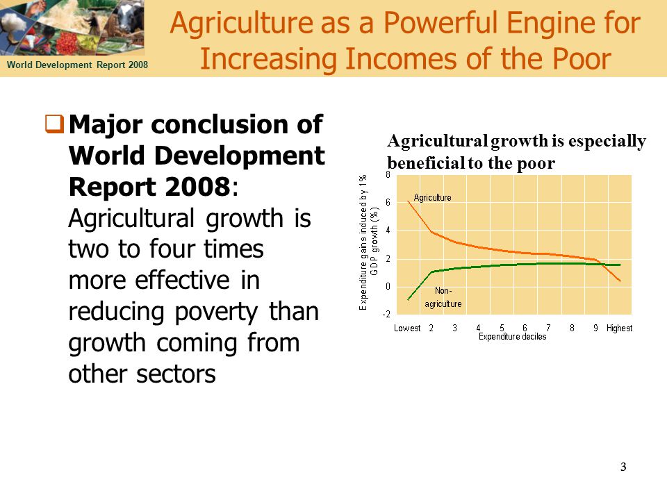 World Development Report 2008 Agriculture as a Powerful Engine for Increasing Incomes of the Poor  Major conclusion of World Development Report 2008: Agricultural growth is two to four times more effective in reducing poverty than growth coming from other sectors 33 Agricultural growth is especially beneficial to the poor