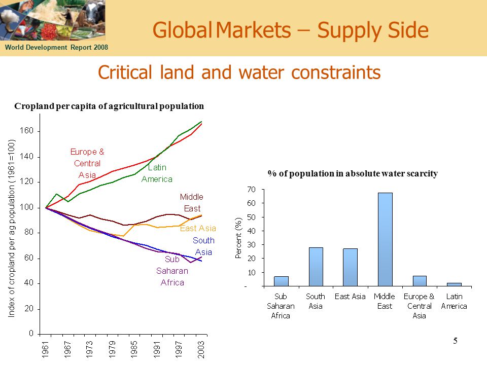 World Development Report Critical land and water constraints % of population in absolute water scarcity Cropland per capita of agricultural population Global Markets ̶ Supply Side