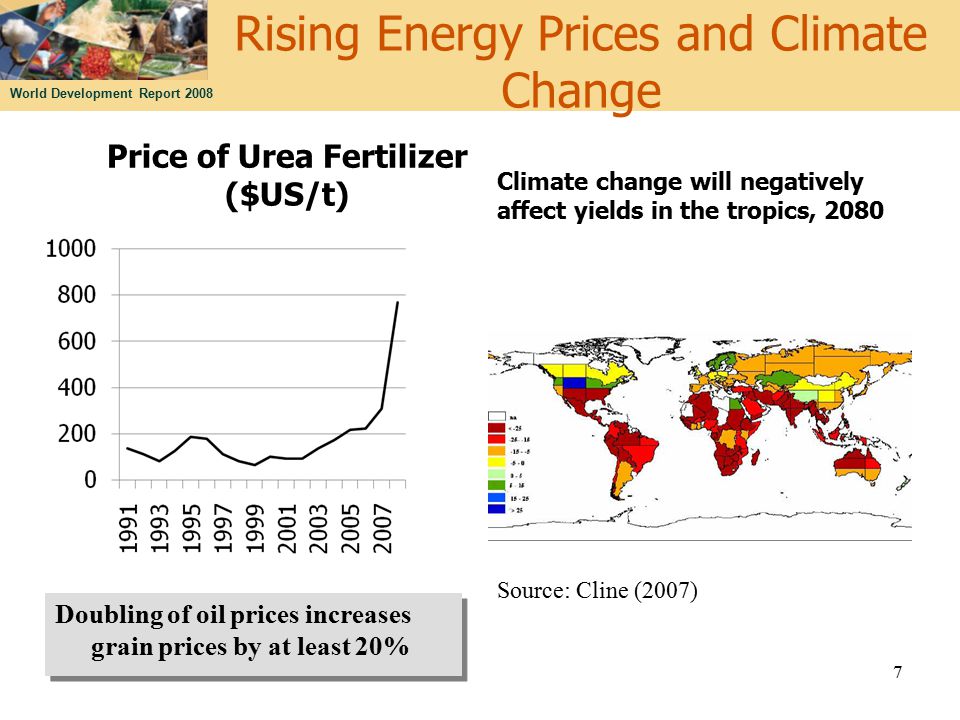World Development Report 2008 Rising Energy Prices and Climate Change Price of Urea Fertilizer ($US/t) Climate change will negatively affect yields in the tropics, Source: Cline (2007) Doubling of oil prices increases grain prices by at least 20%