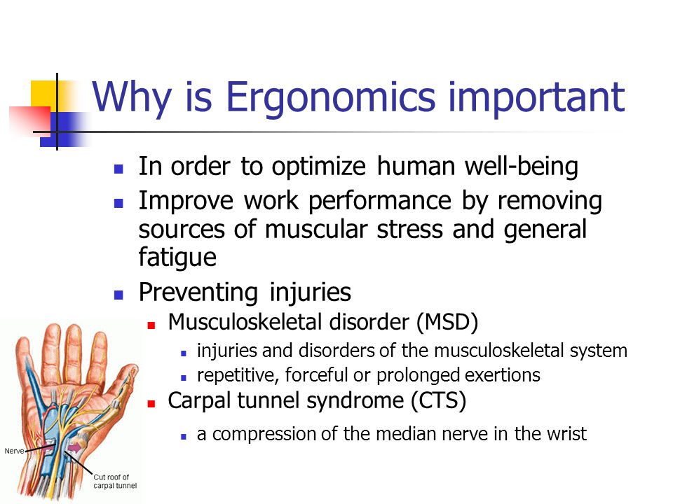 Why is Ergonomics important In order to optimize human well-being Improve work performance by removing sources of muscular stress and general fatigue Preventing injuries Musculoskeletal disorder (MSD)‏ injuries and disorders of the musculoskeletal system repetitive, forceful or prolonged exertions Carpal tunnel syndrome (CTS)‏ a compression of the median nerve in the wrist