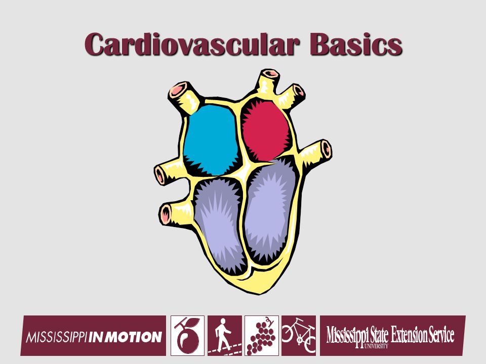 Cardiovascular Basics