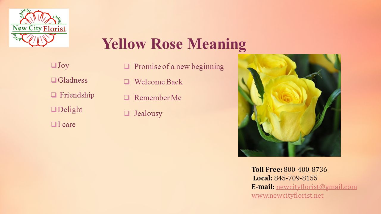 Toll Free: Local: Yellow Rose Meaning  Joy  Gladness  Friendship  Delight  I care  Promise of a new beginning  Welcome Back  Remember Me  Jealousy