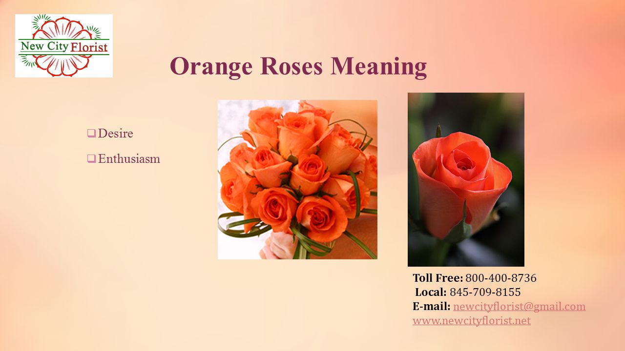 Toll Free: Local: Orange Roses Meaning  Desire  Enthusiasm