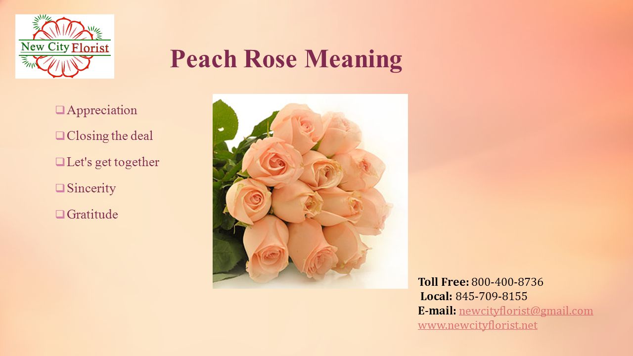 Toll Free: Local: Peach Rose Meaning  Appreciation  Closing the deal  Let s get together  Sincerity  Gratitude